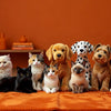 Professional header image for list-based article: 10 Lifelike Cat Dog Stuffed Animals to Adore