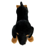 Frankie - Dachshund - 30cm floppy, black and tan