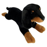 Frankie - Dachshund - 30cm floppy, black and tan