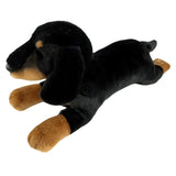 Frankie - Dachshund - 30cm floppy, black and tan