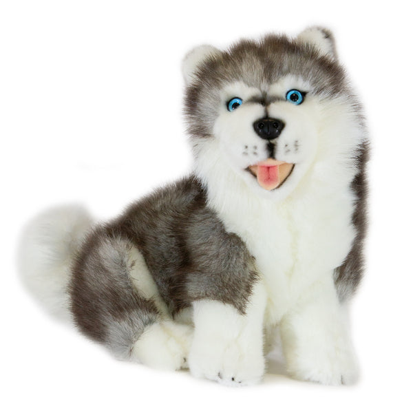 Button - Husky - 26cm sitting