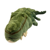 Plush toy alligator on a white background