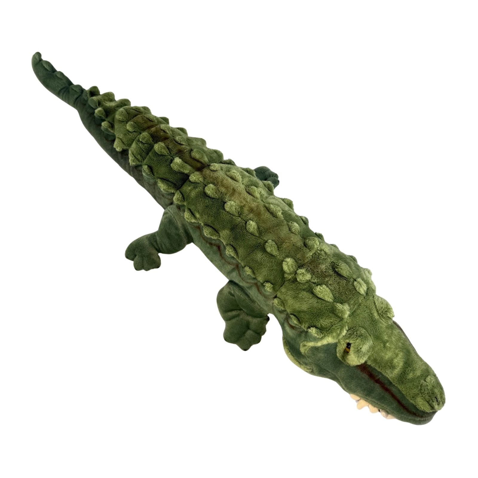 Plush toy alligator on a white background
