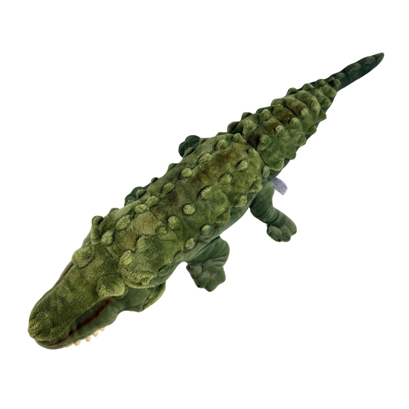 Green plush alligator toy on a white background