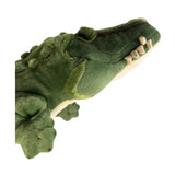 Green crocodile-shaped toy on a white background