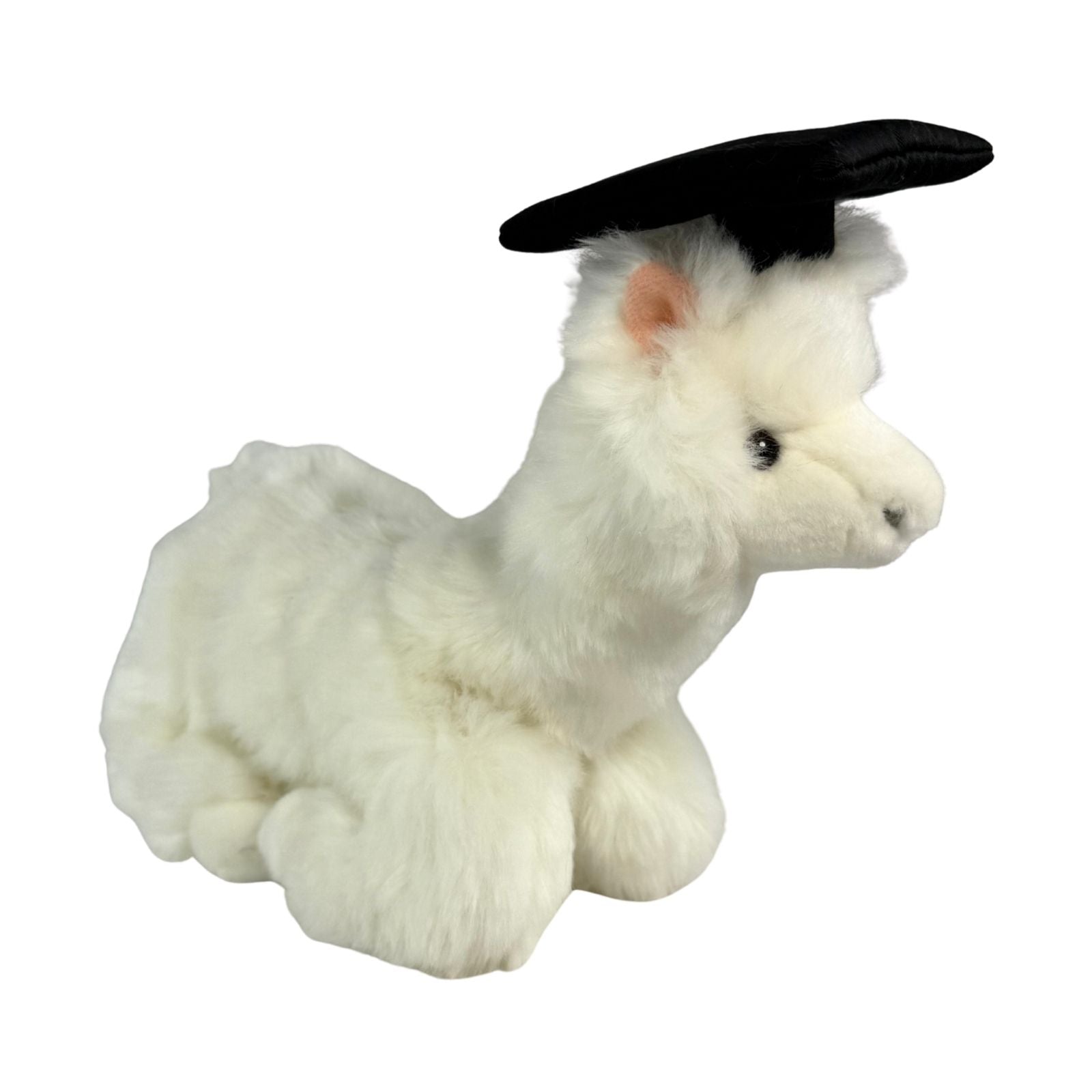 Gradhat Alfredo - Alpaca with Graduation Hat
