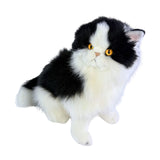 a sitting Piebald cat in white and black colour and is a realistic soft plush toy
