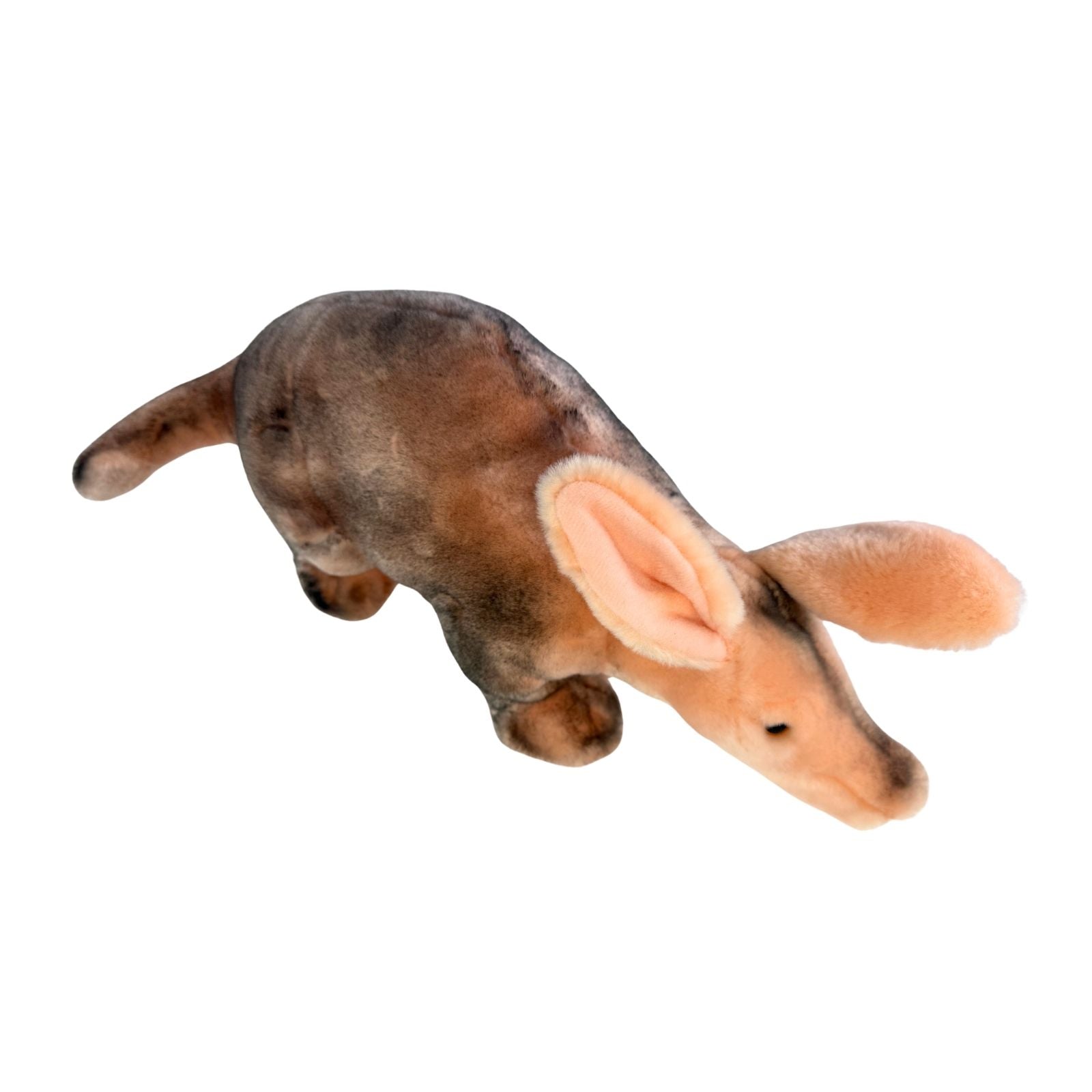 Aardvark a handmade realistic soft stuffed plush toy with airbrushed details.