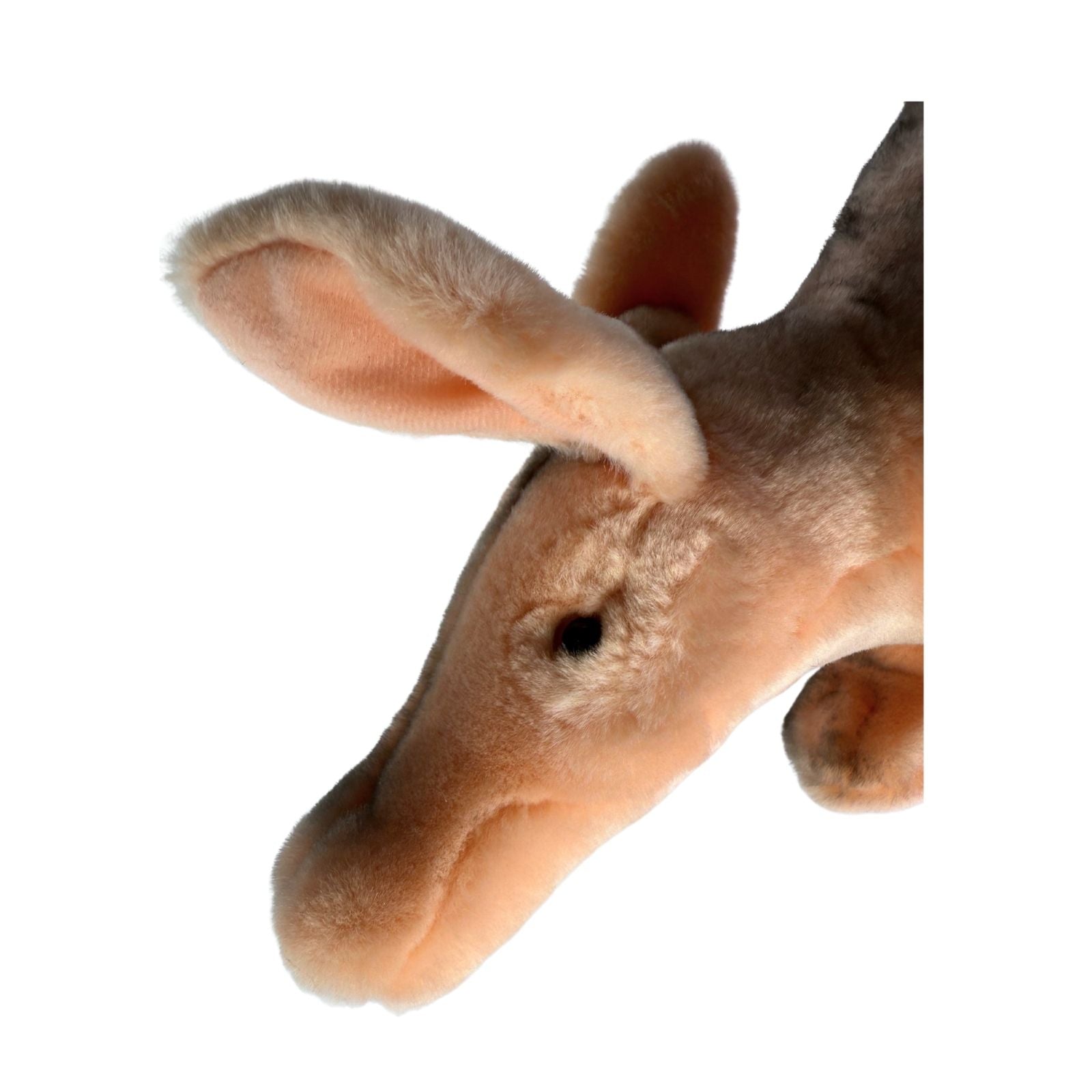 Aardvark a handmade realistic soft stuffed plush toy with airbrushed details.