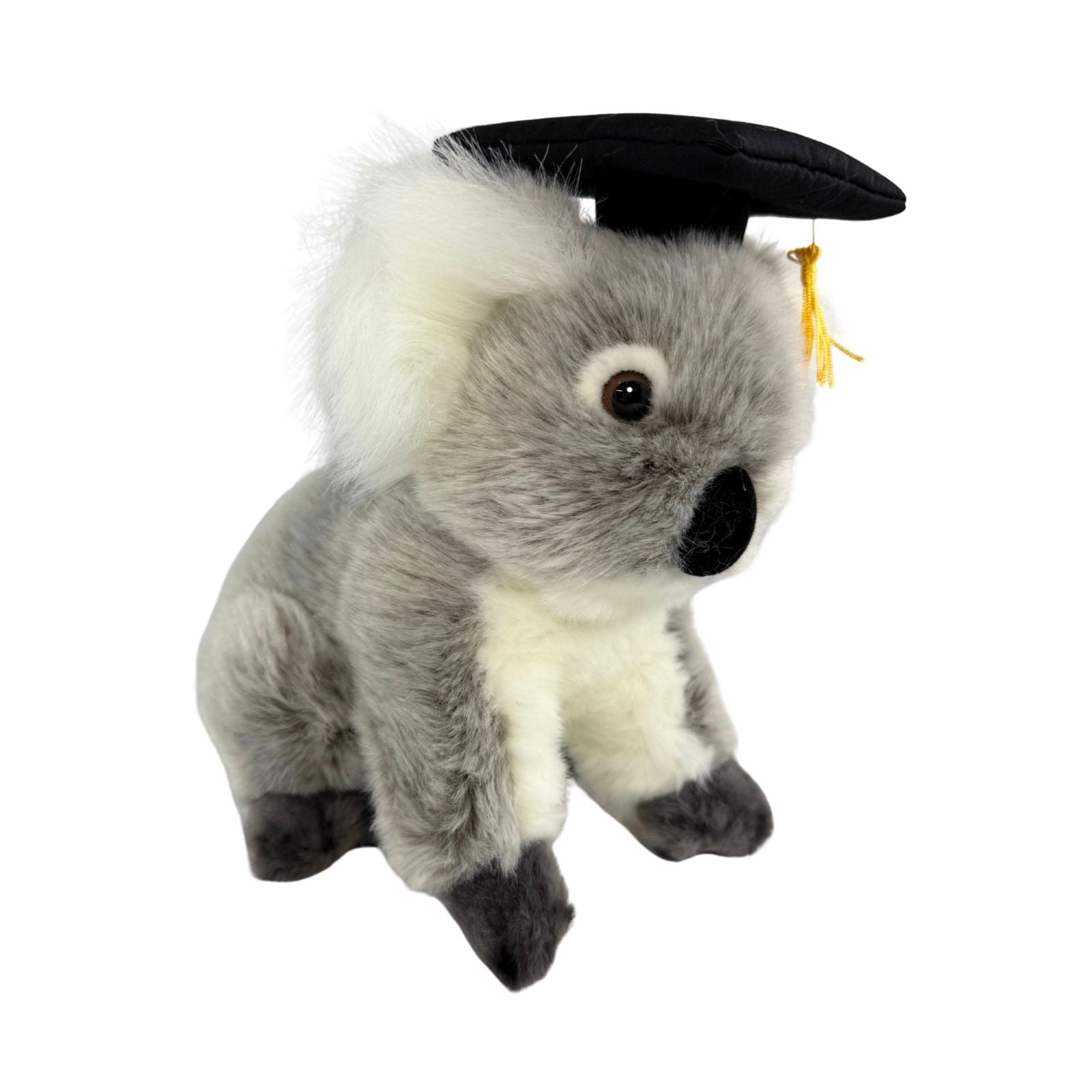 Athena Koala plush toy wearing a graduation hat