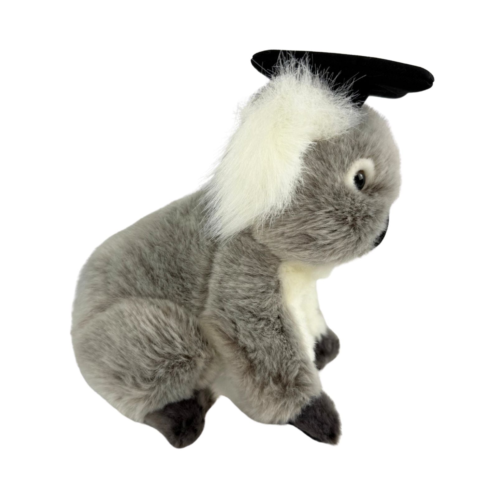 Athena Koala plush toy wearing a graduation hat