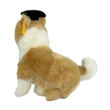 Gradhat Bailey - Border Collie with Graduation Hat