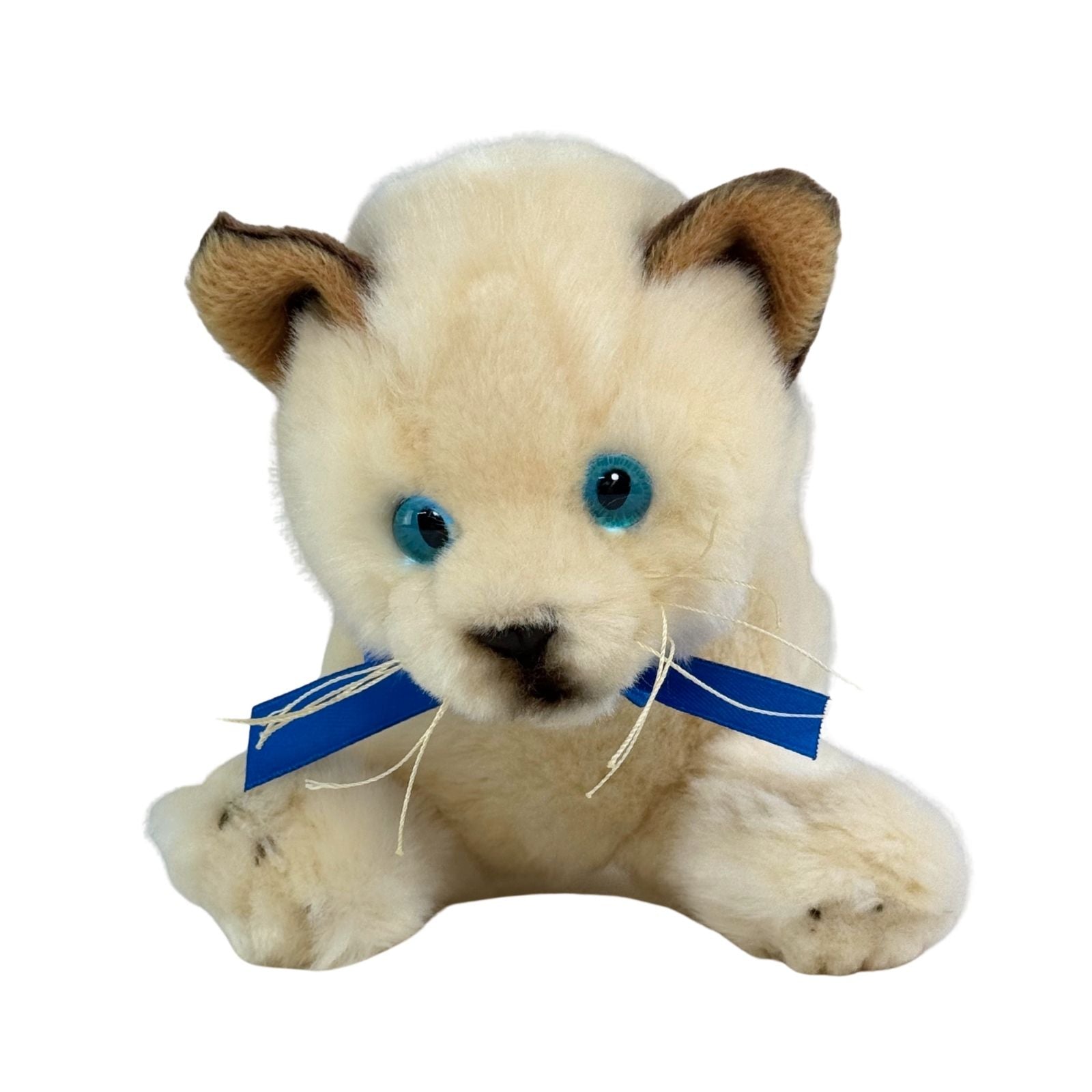 Bamboo (Kitten Siamese 22cm floppy) – Bocchetta Plush Toys