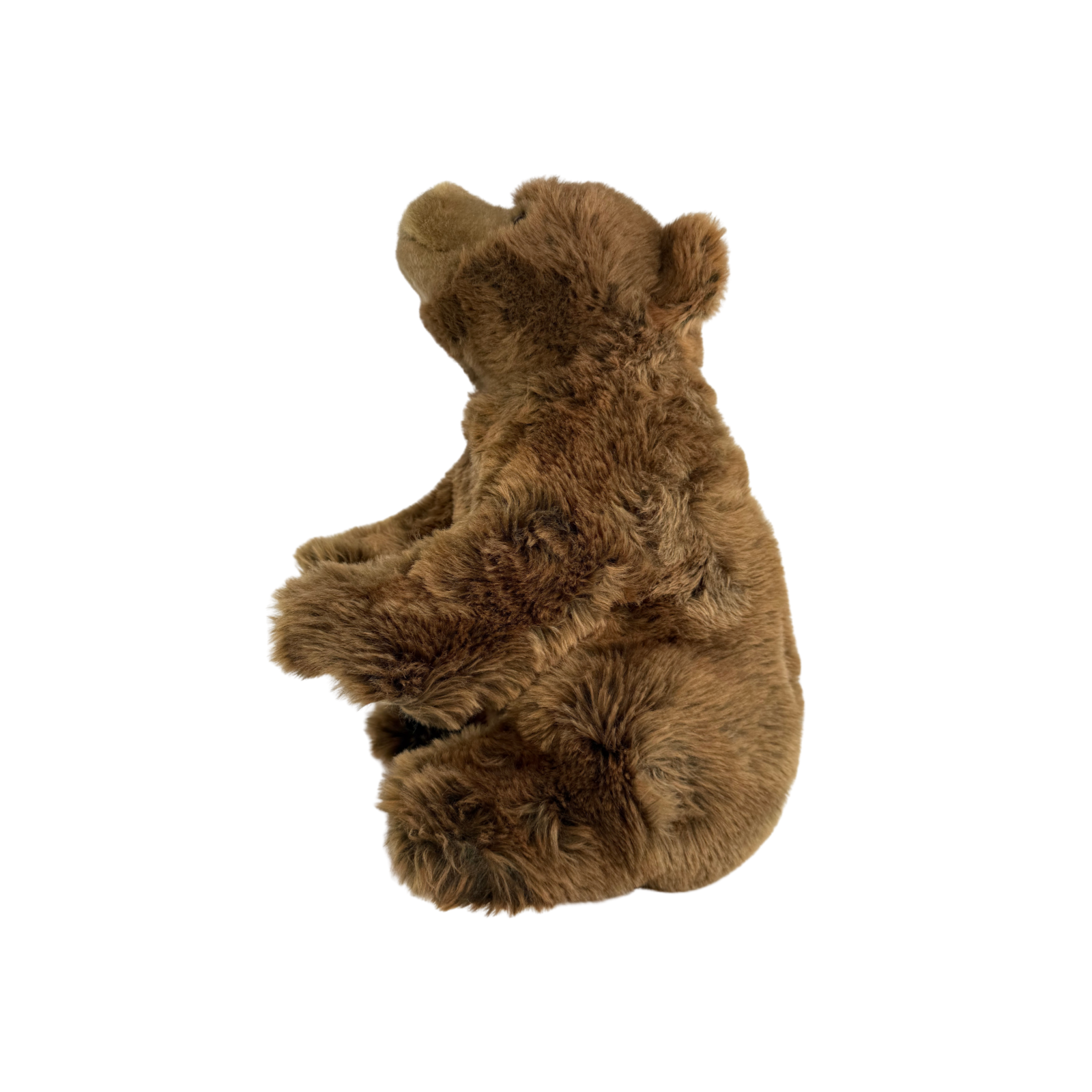 soft plush toy brown bear