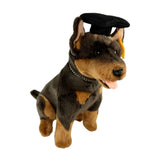 Basil Kelpie plush toy in graduation hat