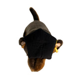 Top view of Basil Kelpie plush toy in graduation hat