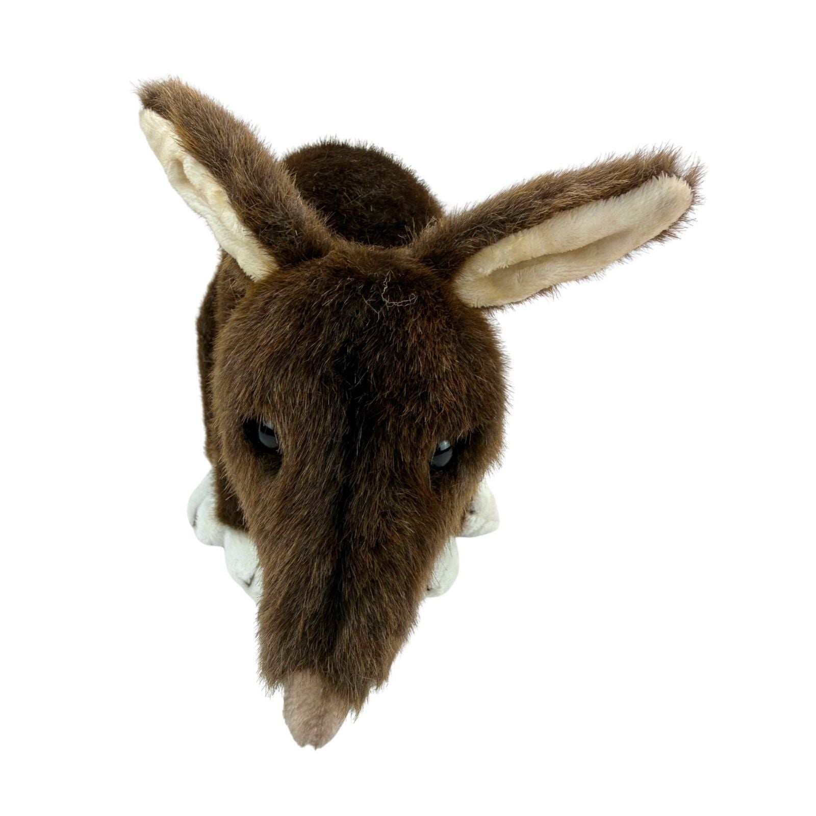 Plush bilby head toy on a white background