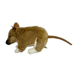 Plush toy bandicoot on a white background