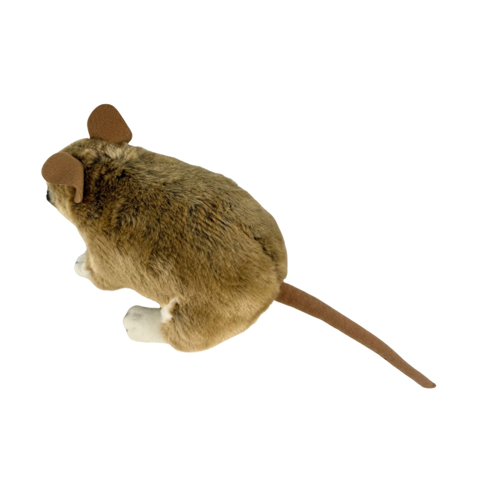 Plush toy bandicoot on a white background