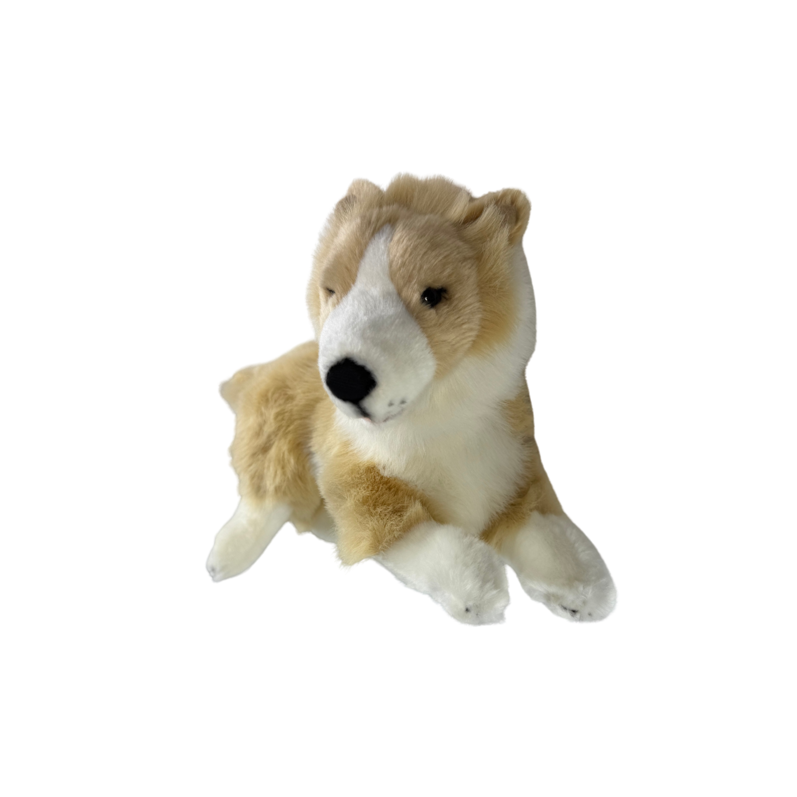 stuffed puppy plush Border Collie dog