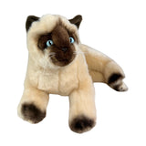 Siamese cat and is a realistic soft plush toy