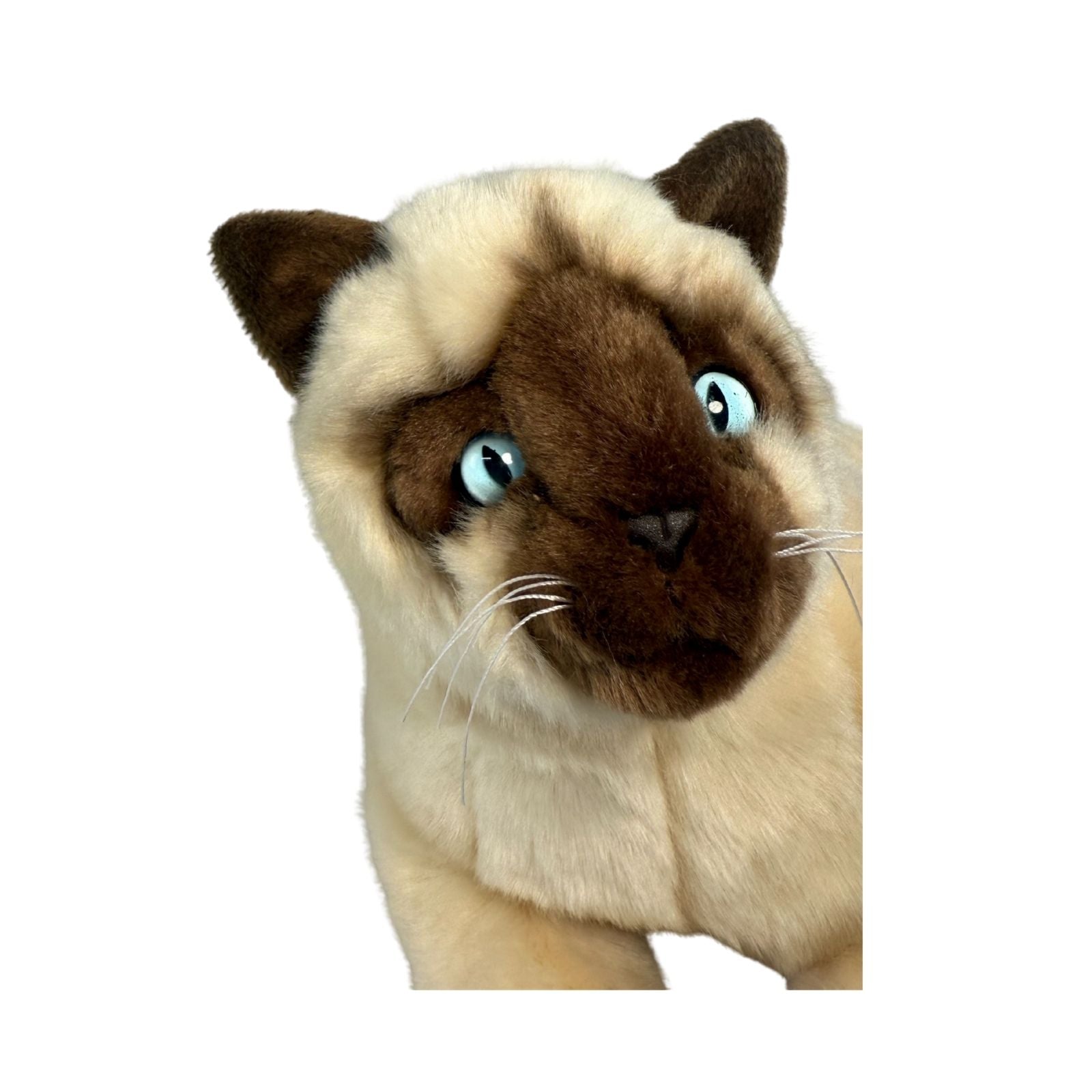 Siamese cat and is a realistic soft plush toy