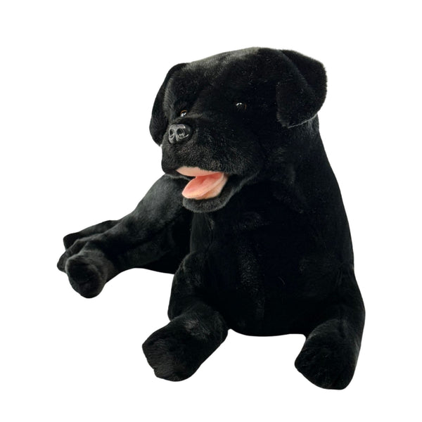 Boots - Labrador - 62cm lying, black