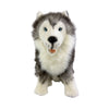 Siberian Husky soft plush toy