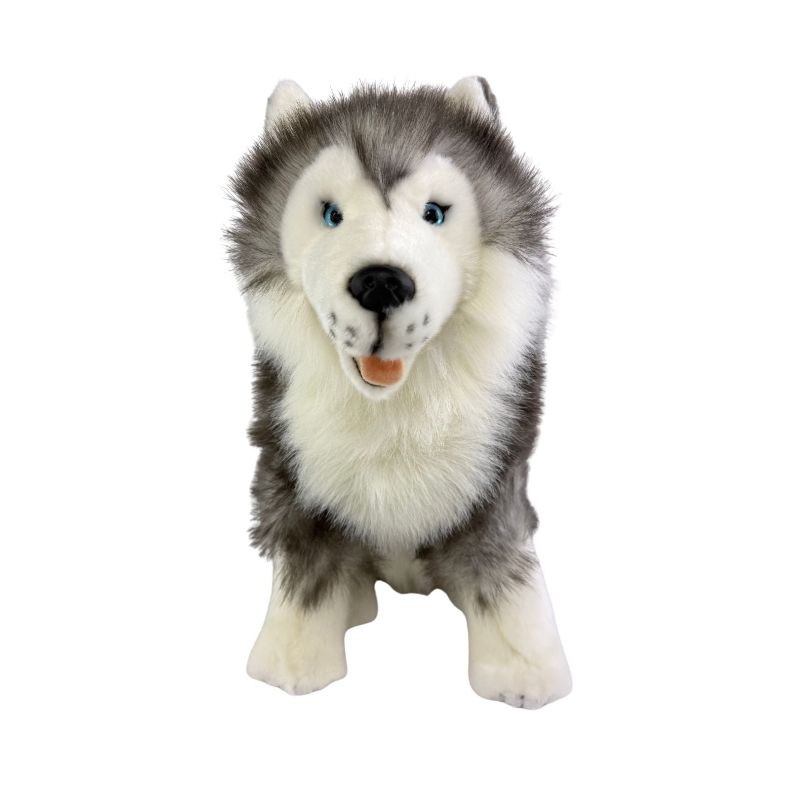 Siberian Husky soft plush toy