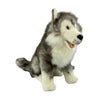 Brock - Husky - 35cm sitting