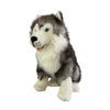 Brock - Husky - 35cm sitting