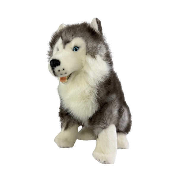 Brock - Husky - 35cm sitting