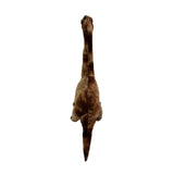 high quality-made Brachiosaurus dinosaur soft stuffed plush toy