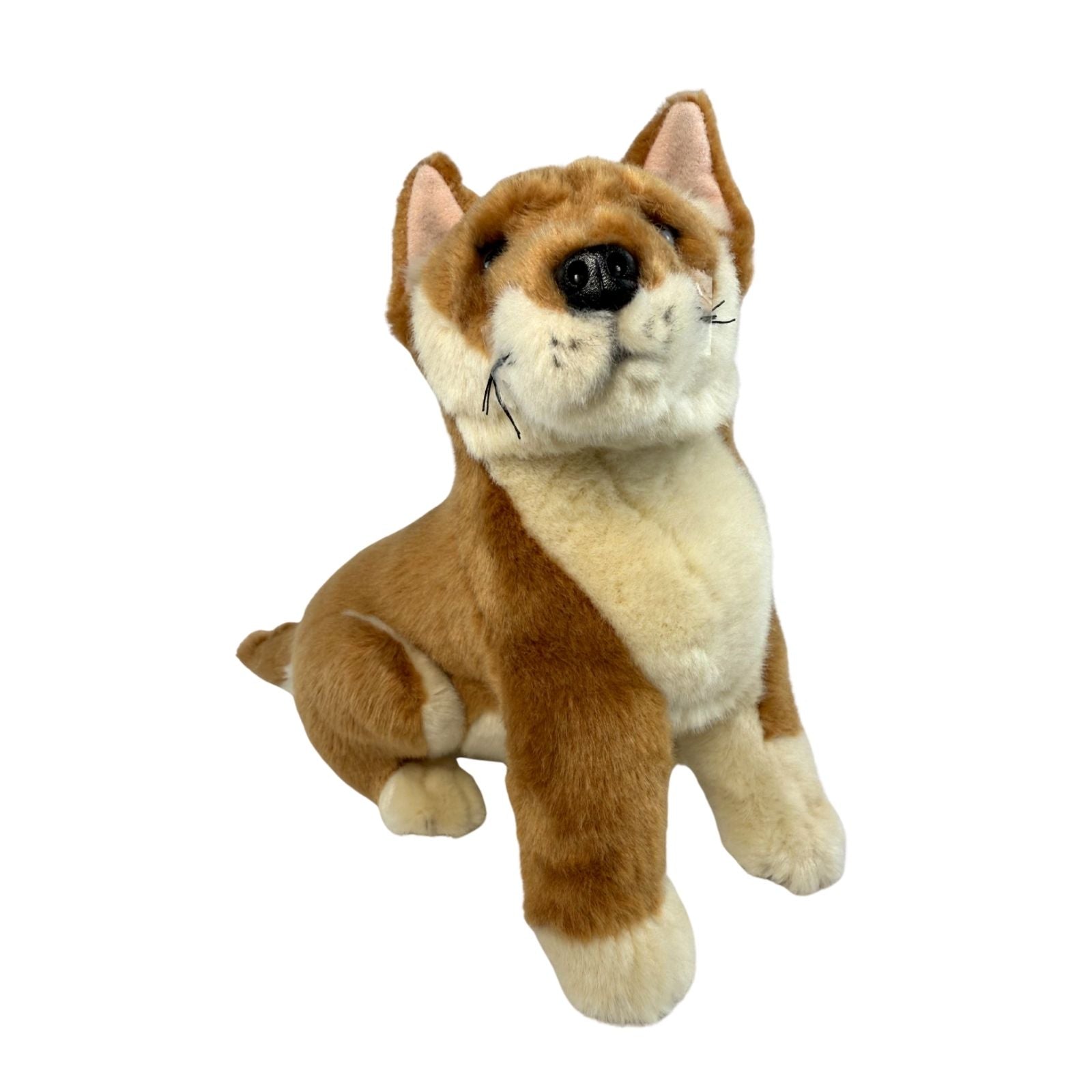 Plush toy dingo with brown and beige fur on a white background