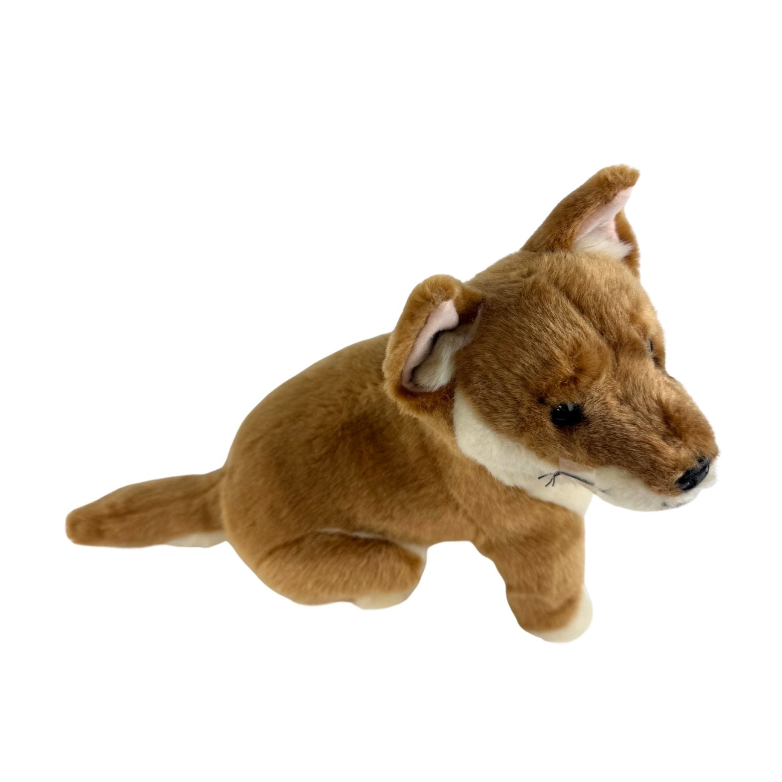 Brown plush dingo toy on a white background