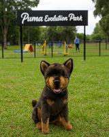 red and tan Australian Kelpie handmade and airbrushed plush toy