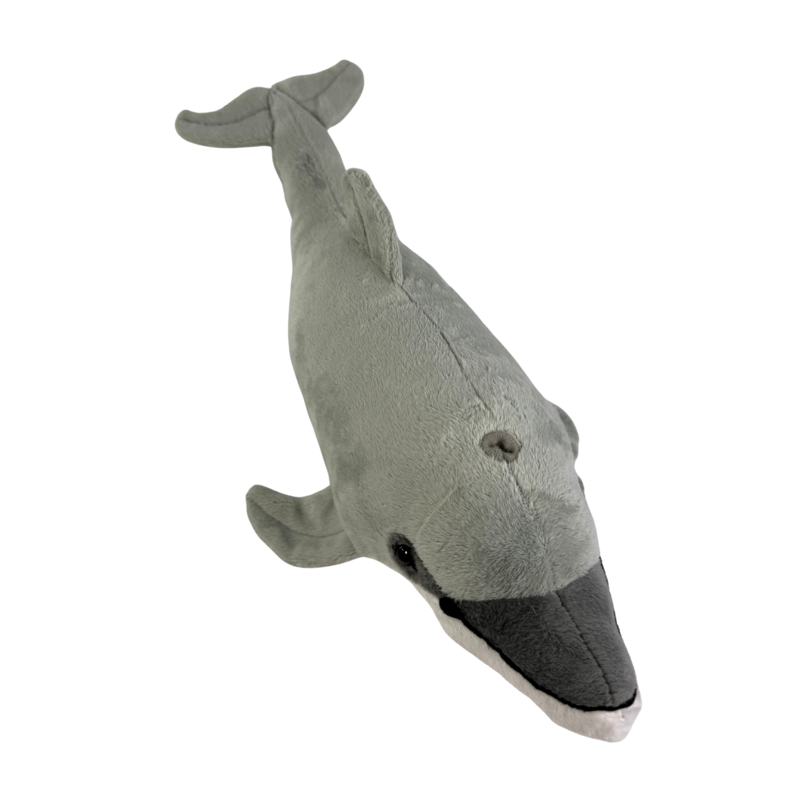 Celia dolphin plush toy with realistic details and soft texture