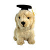 Front view of Chanel Golden Retriever in graduation hat