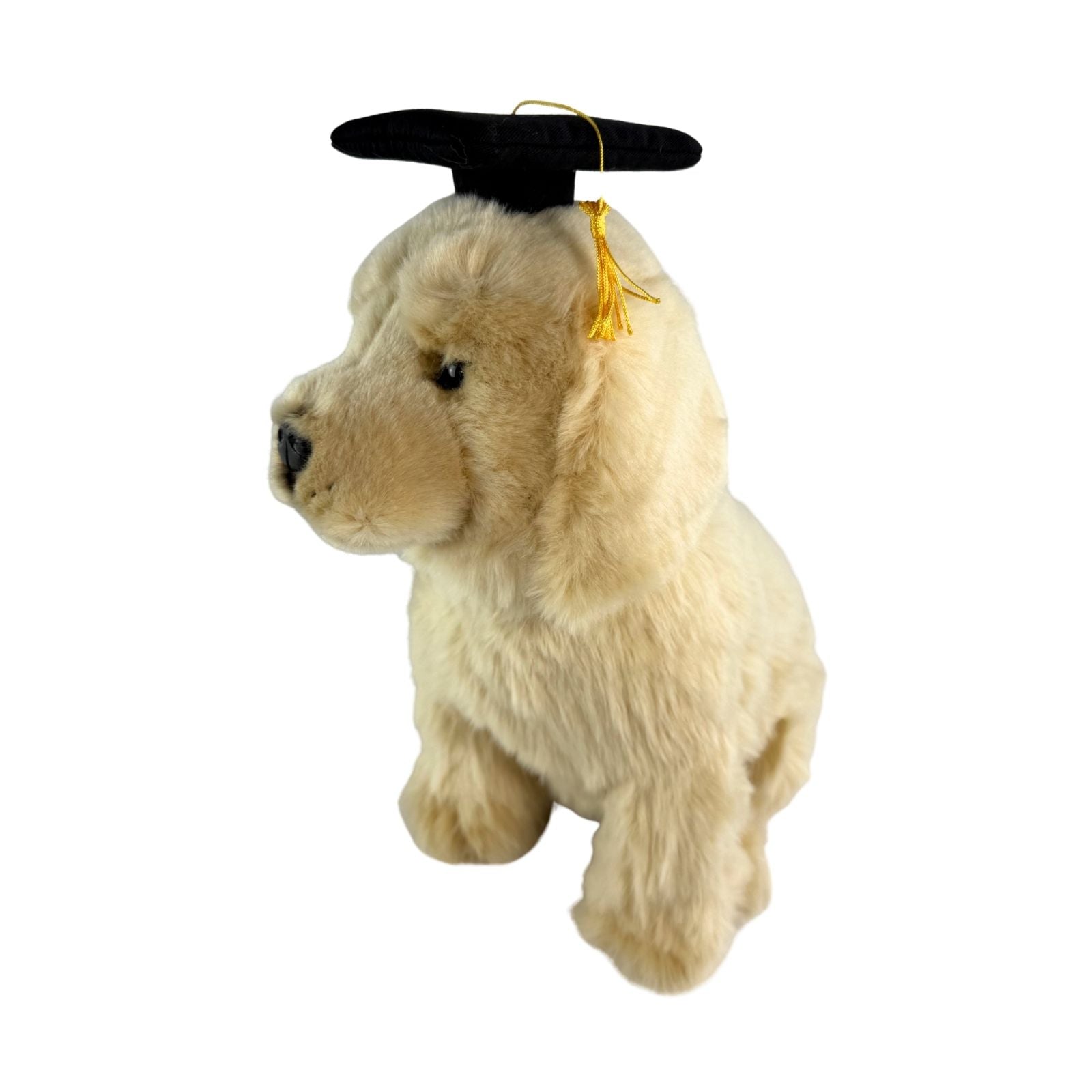 Side view of Chanel Golden Retriever in graduation hat