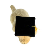Top view of Chanel Golden Retriever in graduation hat