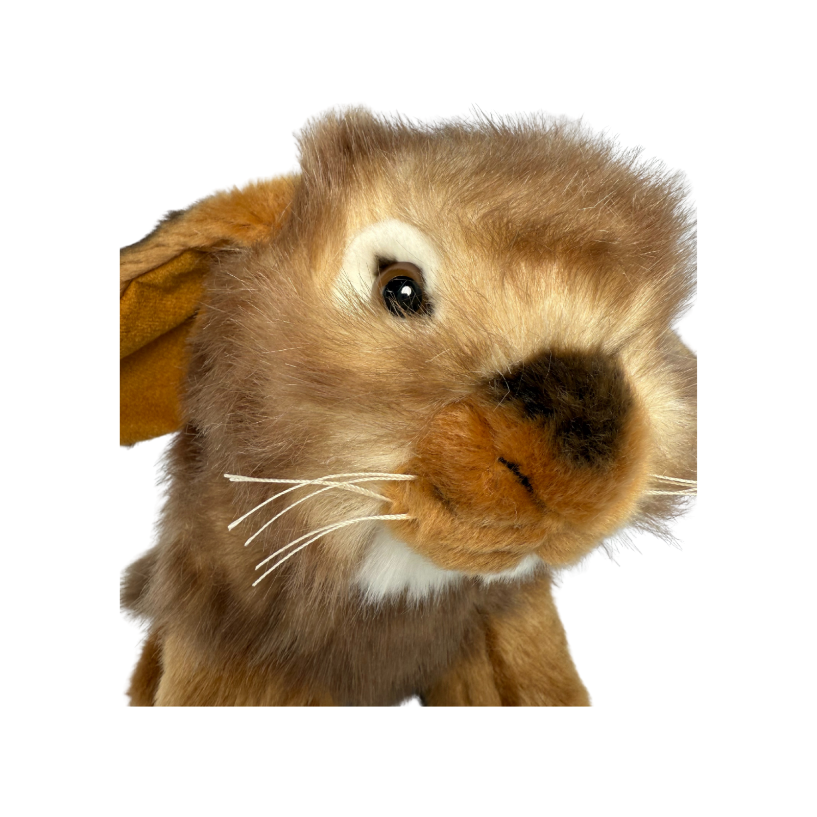 Front view of Cinnamon realistic Lop Eared Rabbit plush toy