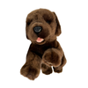 Coco - Labrador - 28cm floppy, brown