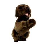 Under view of Coco realistic Labrador Puppy plush toy body
