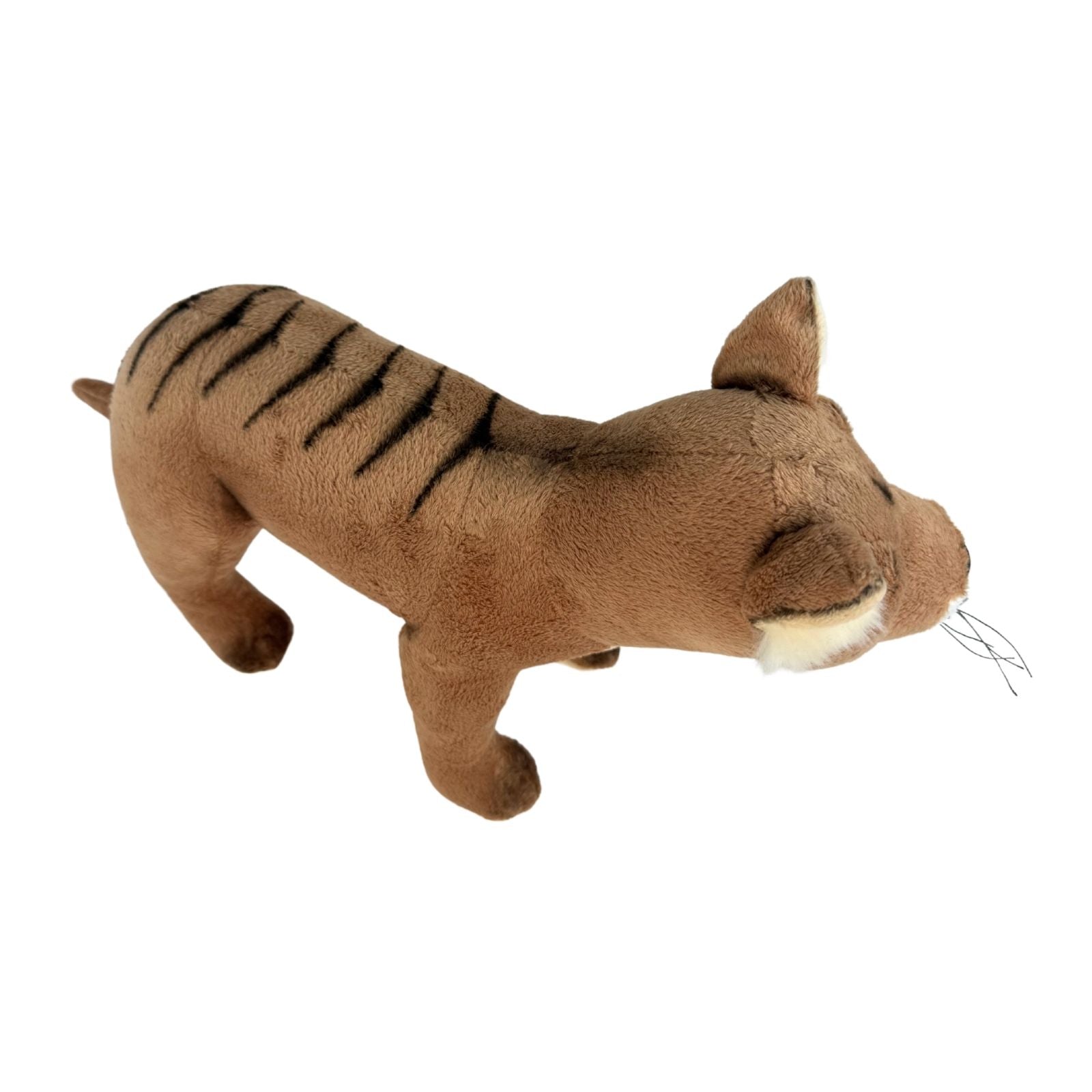 Plush Tasmanian Tiger on a white background