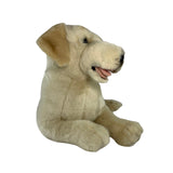 Daisy cream Labrador plush toy dog close-up front view