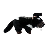 Side view of Diego Tasmanian Devil in graduation hat