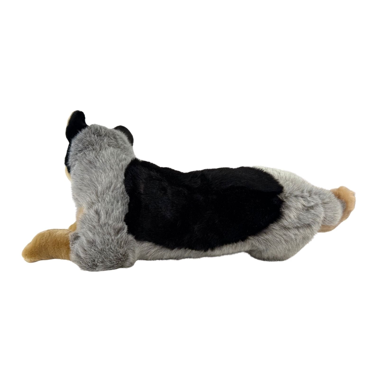 Cattle dog pocket plush toy lying down view