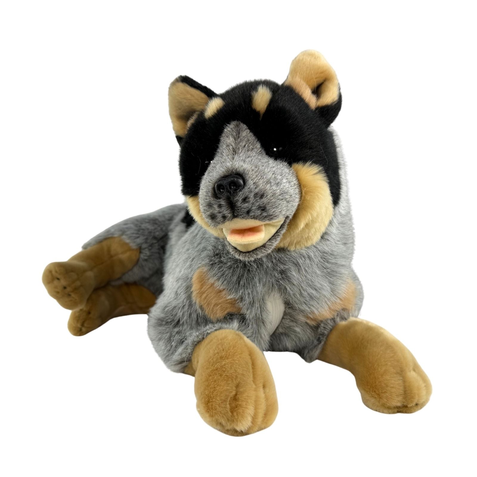 Cattle dog plush toy lying down showing details