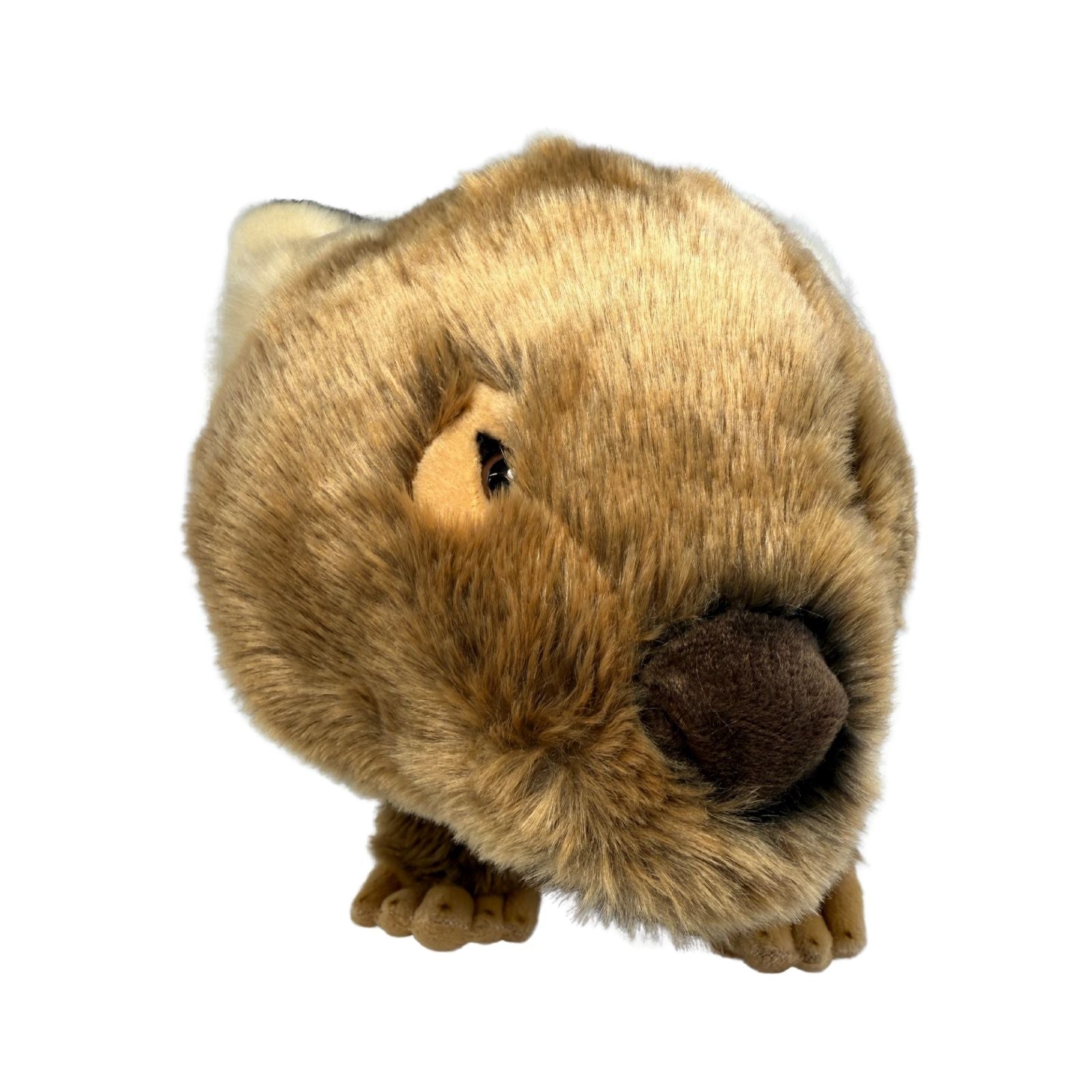 Plush toy resembling a beaver on a white background
