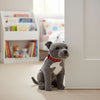 Doorstop Storm - Weighted Staffy - 32cm